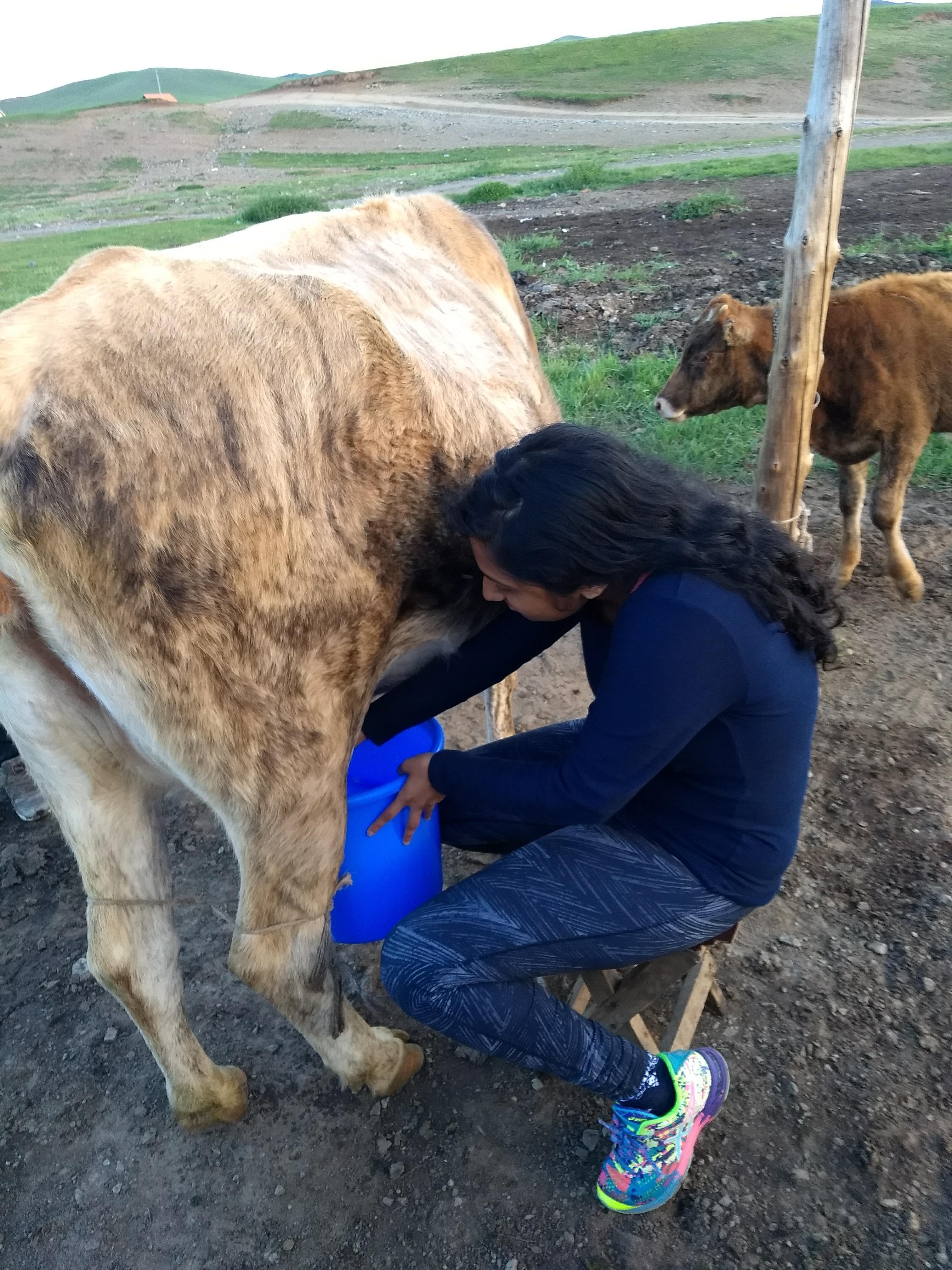 Meat Dough And More Meat Food In Mongolia Reach The World